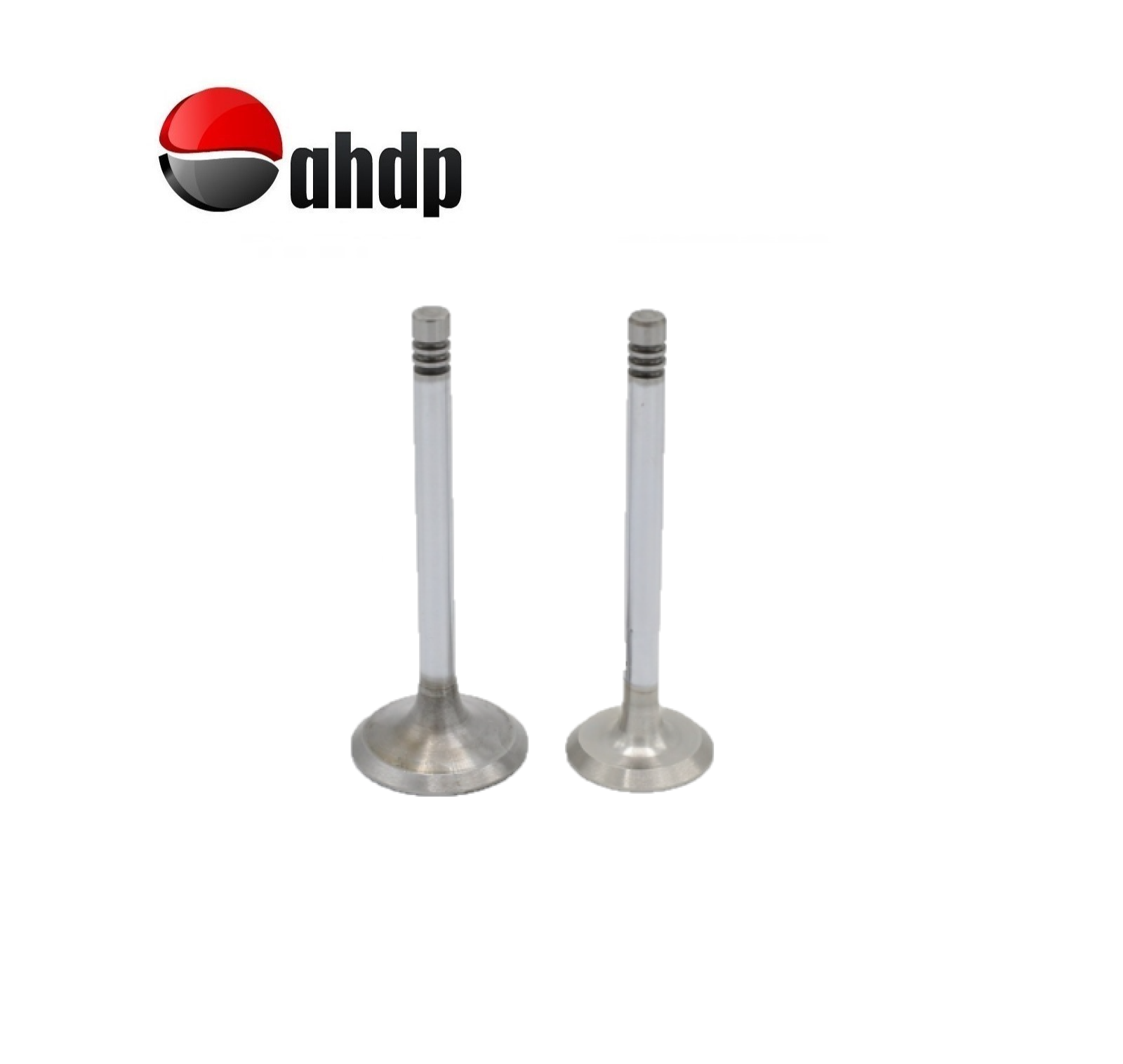 ENGINE VALVE SET IN+EX LOMBARDINI - LI019652061, LI019685067